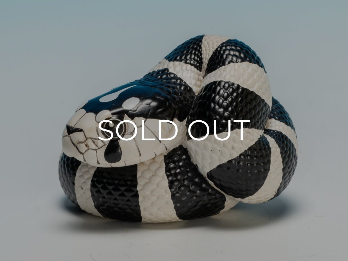 画像6: カリフォルニアキングヘビ（白黒） (6)