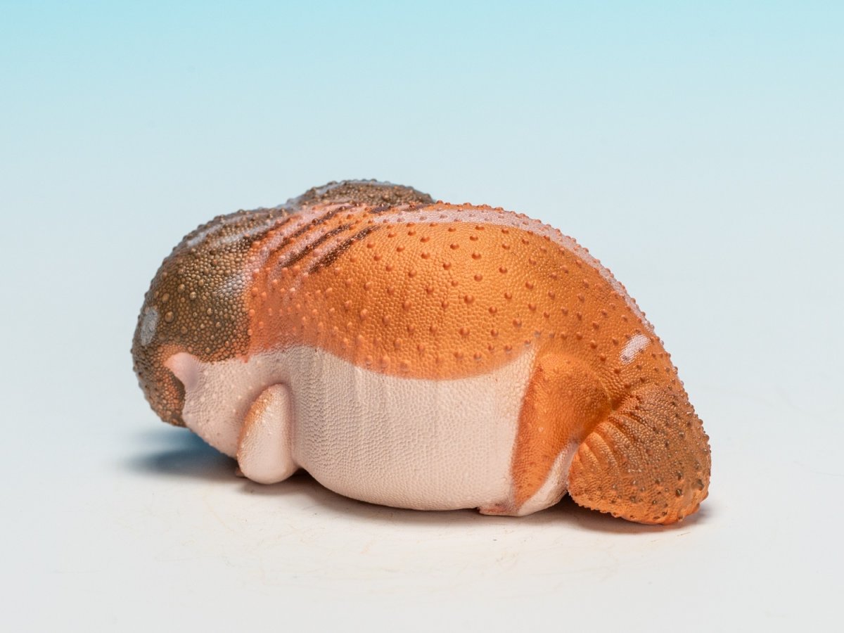 画像4: タマオヤモリ（普通） (4)