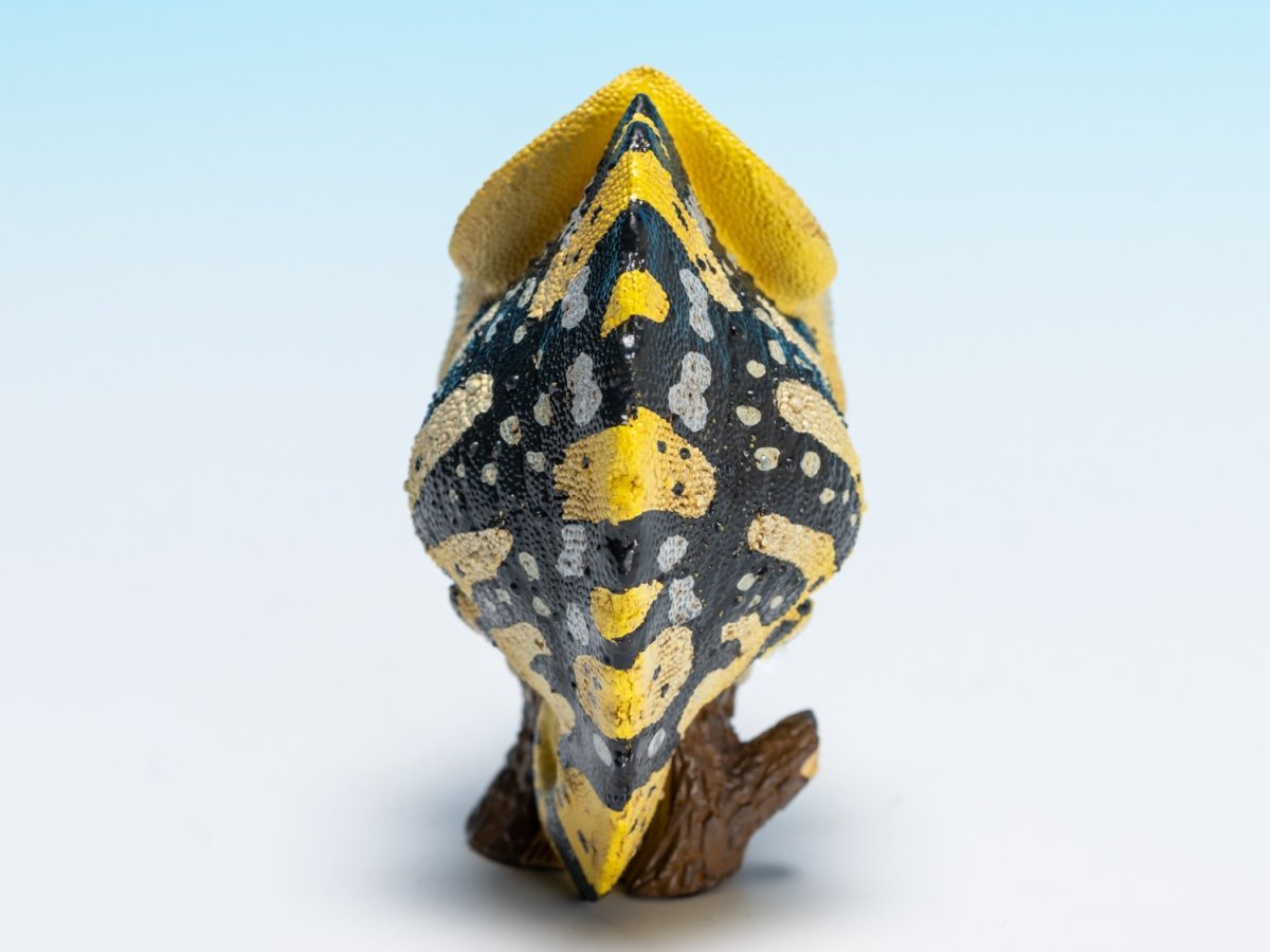 画像4: メラーカメレオン (4)