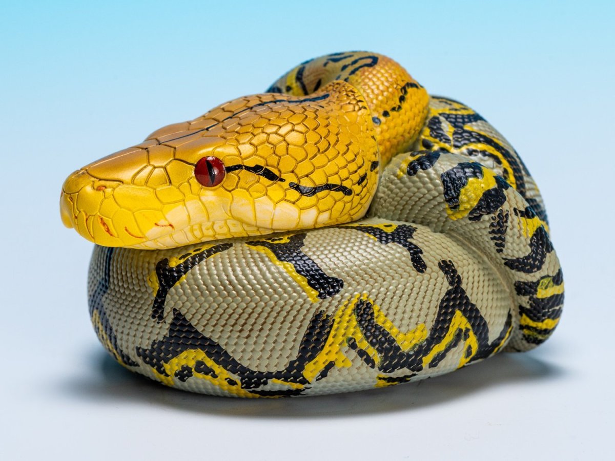 画像7: アミメニシキヘビ (7)