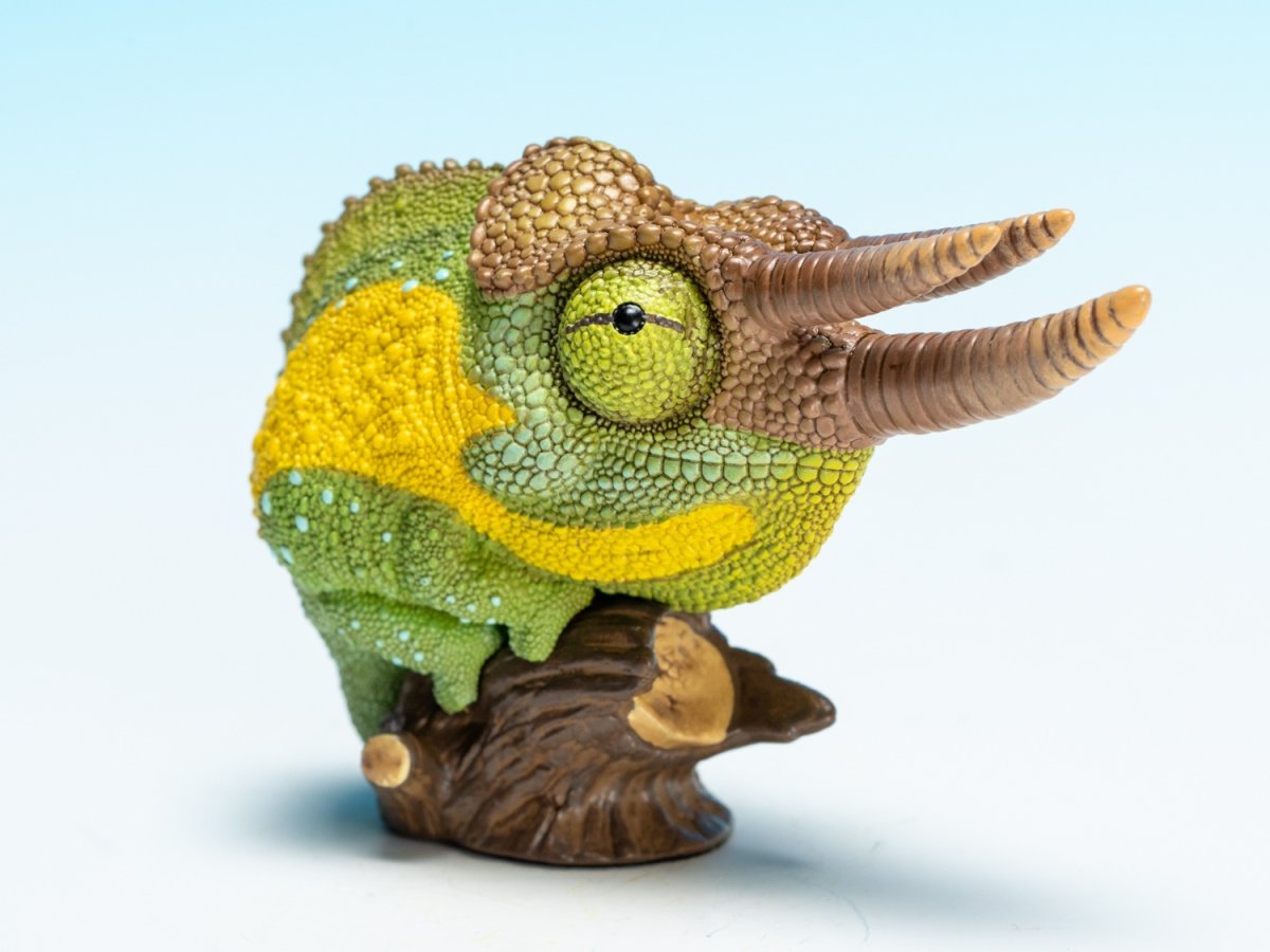 画像2: ジャクソンカメレオン (2)