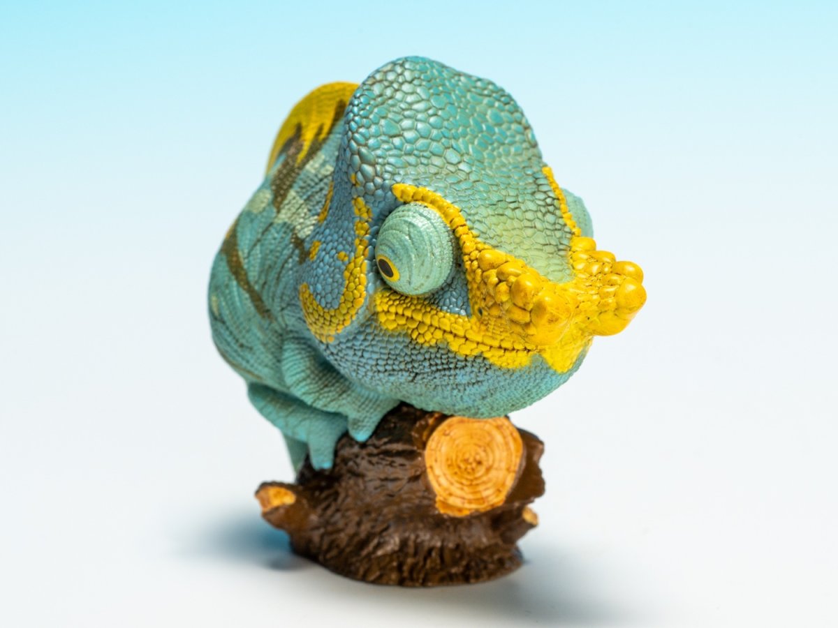 画像9: パーソンカメレオン (9)