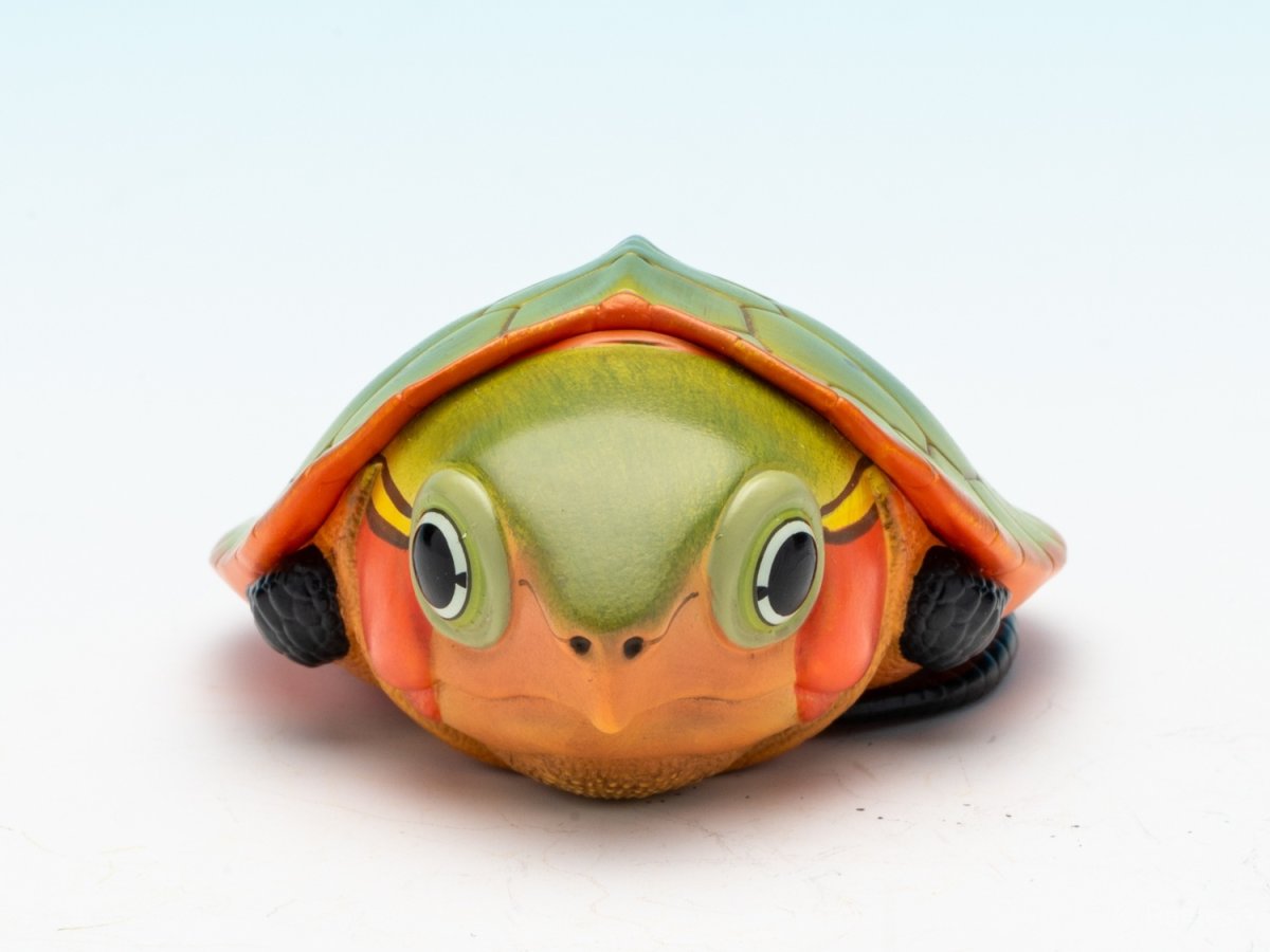 画像3: オオアタマガメ（五周年記念） (3)