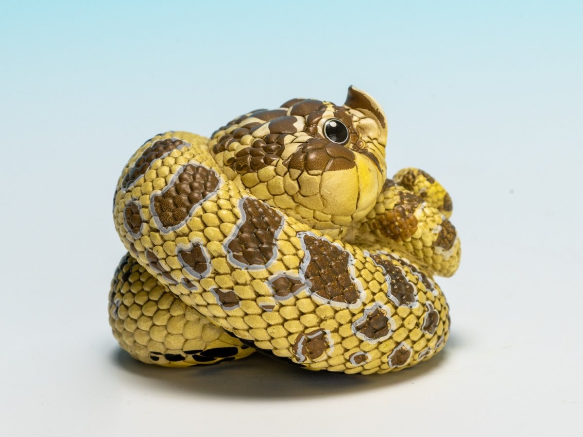 画像3: セイブシシバナヘビ（オリジナル） (3)