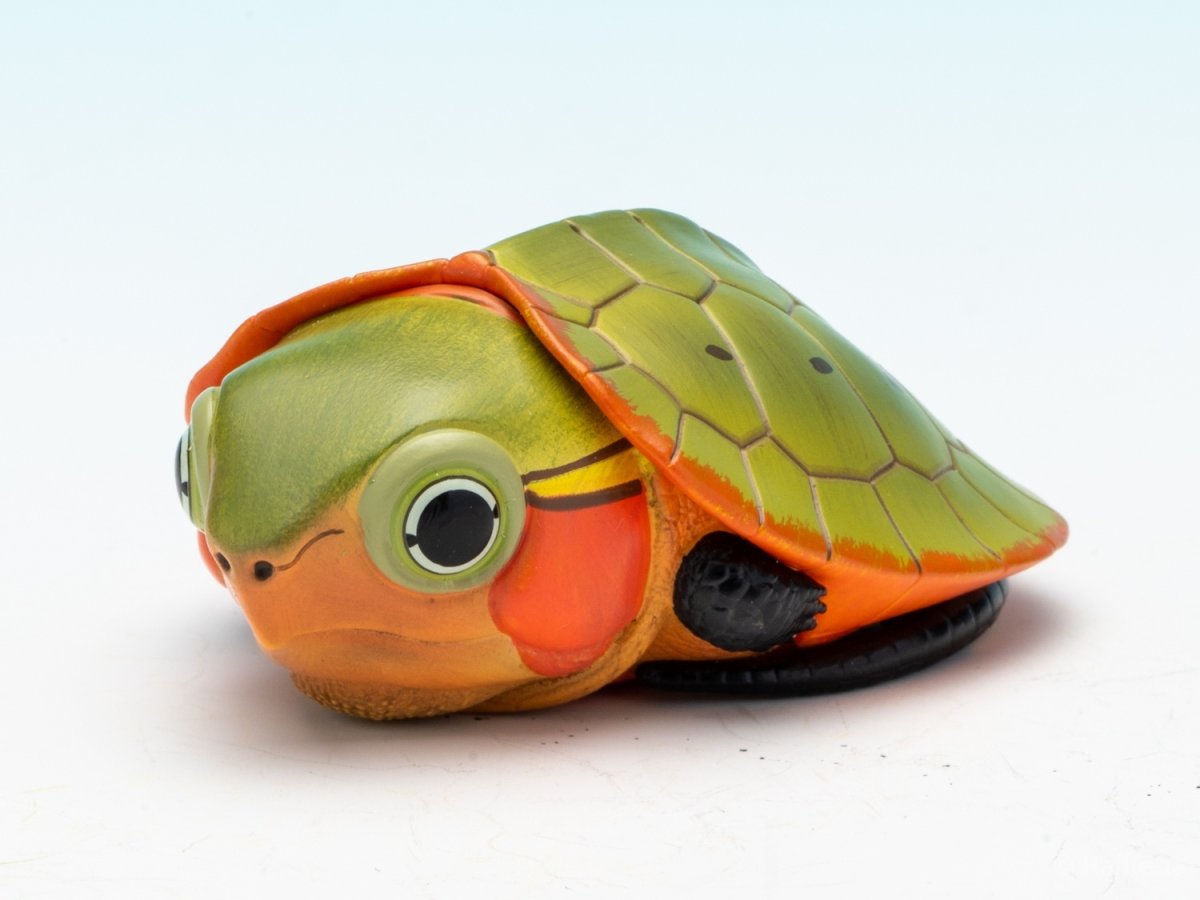 画像4: オオアタマガメ（五周年記念） (4)