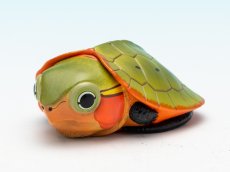 画像4: オオアタマガメ（五周年記念） (4)