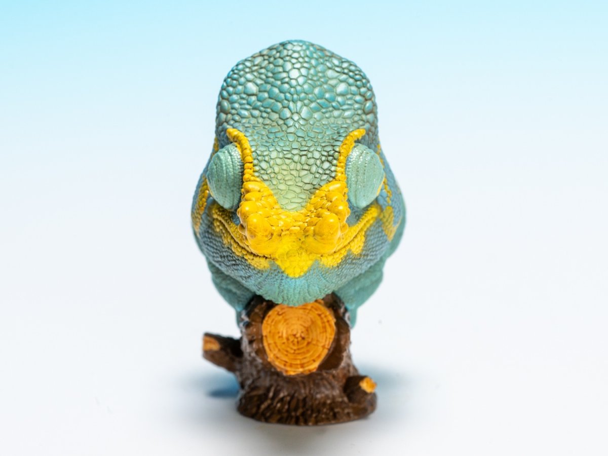 画像8: パーソンカメレオン (8)