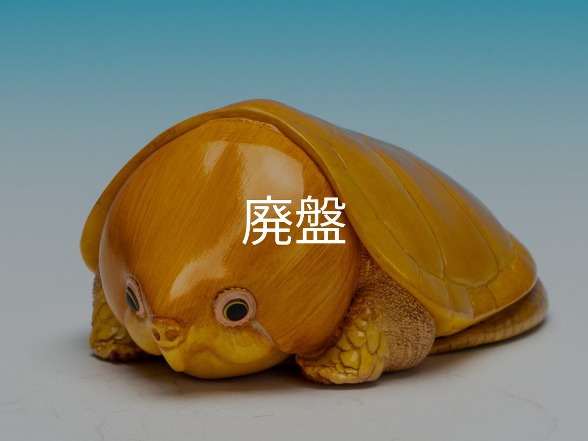 画像4: オオアタマガメ (4)