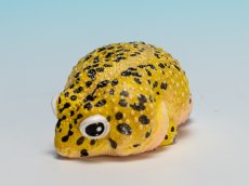 画像5: ヒョウモントカゲモドキ（オリジナル） (5)