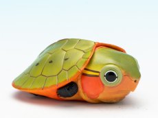画像1: オオアタマガメ（五周年記念） (1)