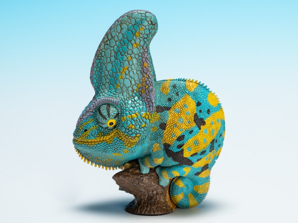 画像7: エボシカメレオン（ブルー）【動画あり】 (7)