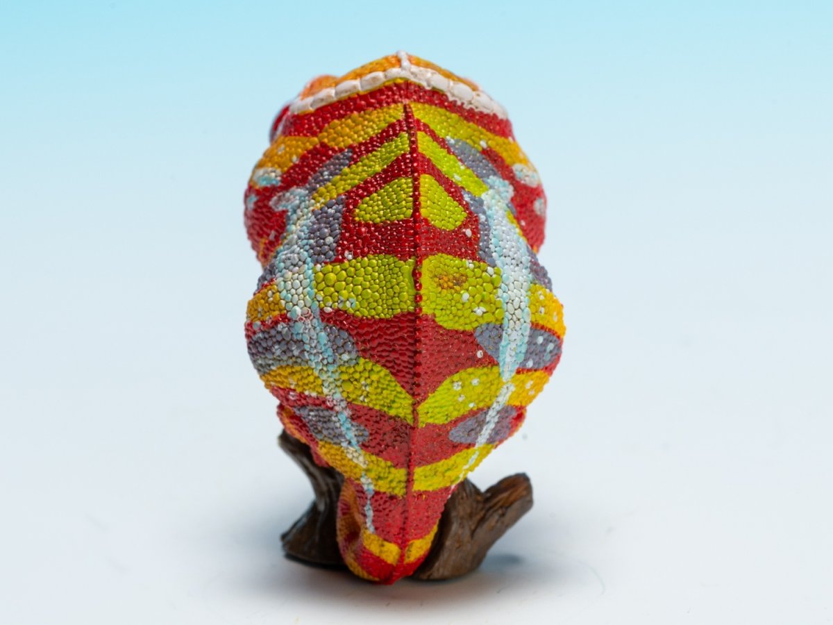 画像4: カメレオン（アンダパ） (4)