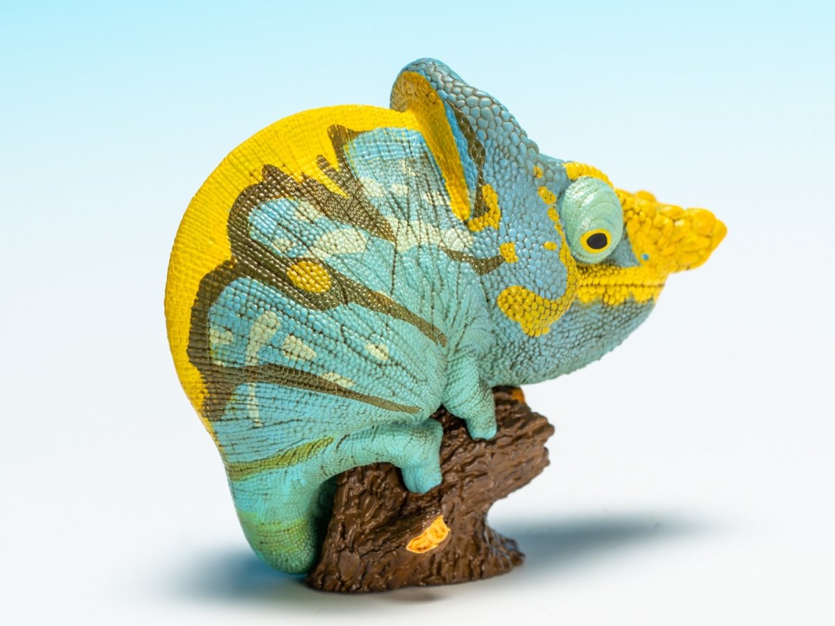 画像4: パーソンカメレオン (4)