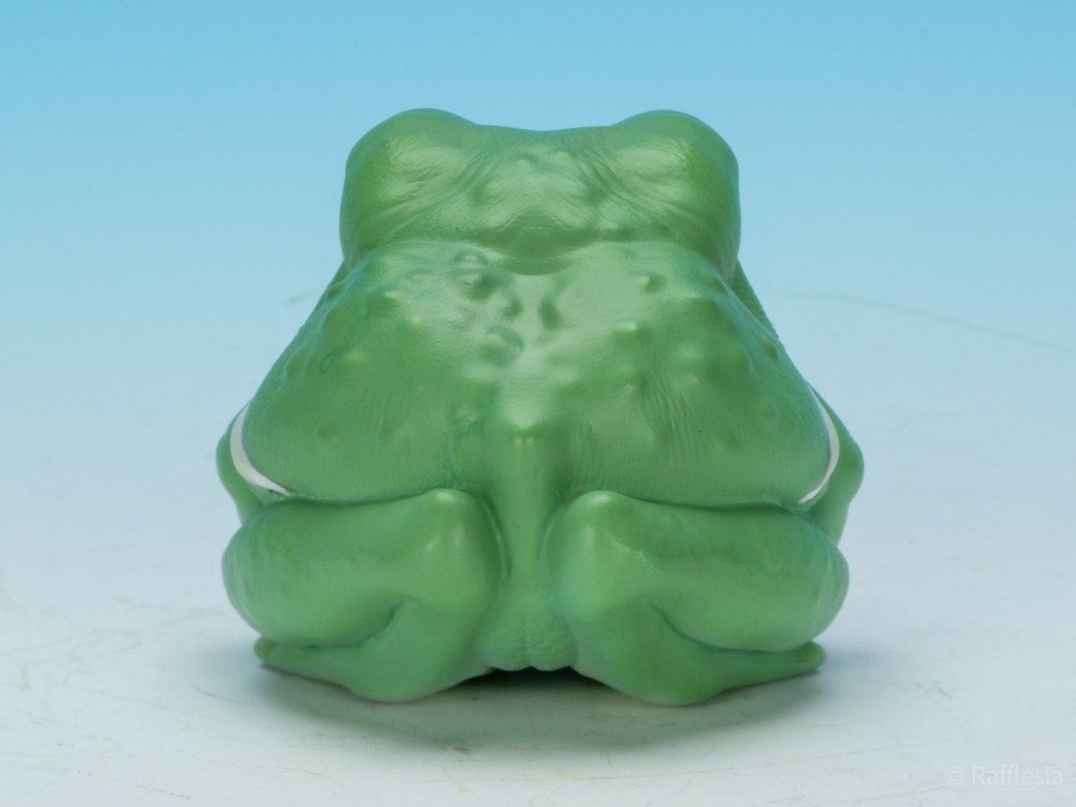 画像4: ソバージュネコメガエル (4)