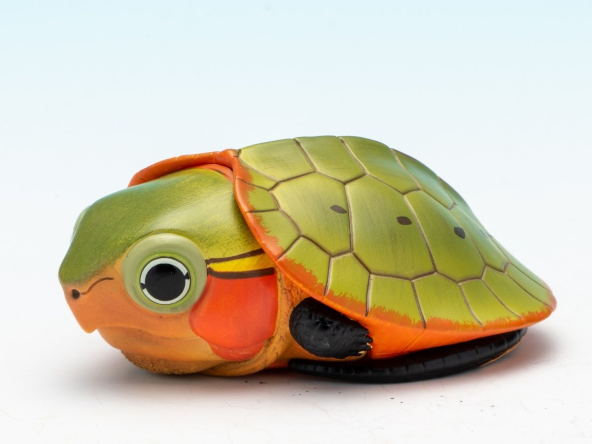 画像5: オオアタマガメ（五周年記念） (5)