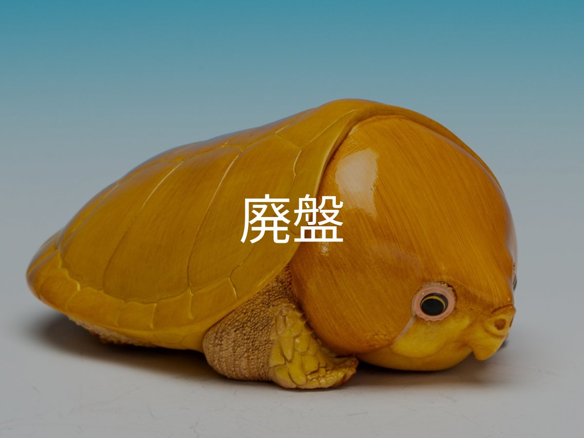 画像1: オオアタマガメ (1)