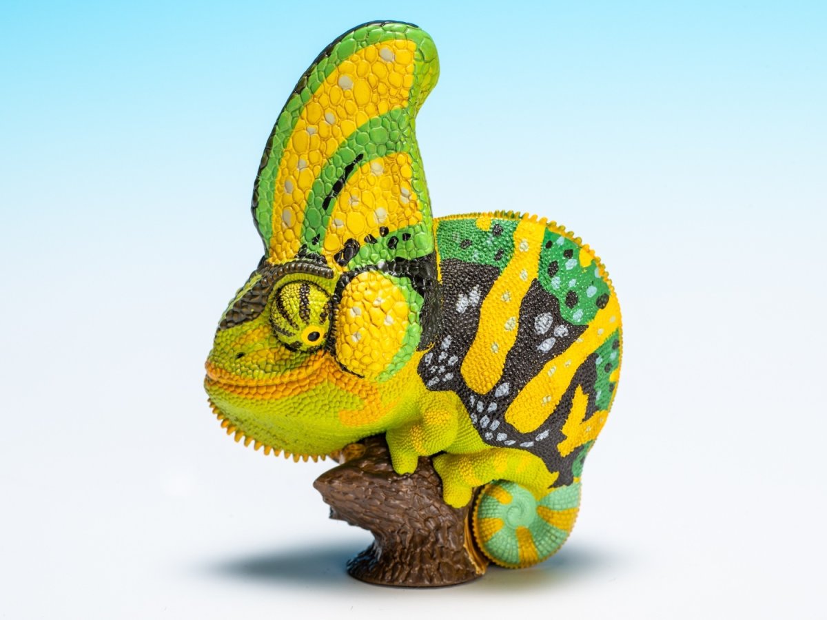 画像5: エボシカメレオン（グリーン）【動画あり】 (5)