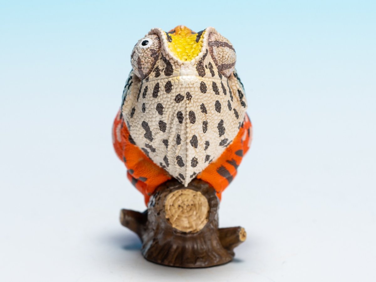 画像8: カーペットカメレオン (8)