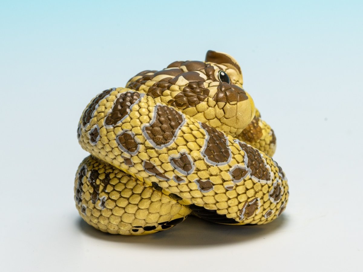 画像4: セイブシシバナヘビ（オリジナル） (4)