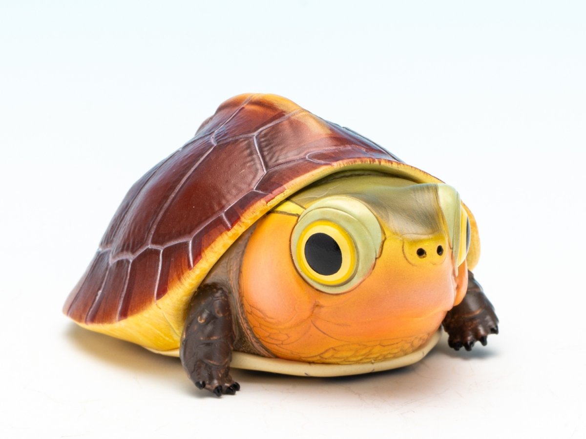 画像2: セマルハコガメ（五周年記念） (2)