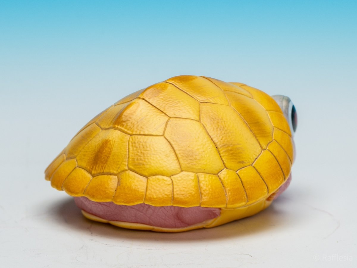 画像8:  キャラメルピンク（五周年記念） (8)