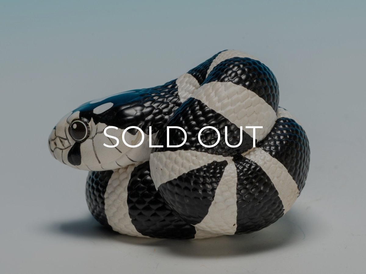 画像5: カリフォルニアキングヘビ（白黒） (5)