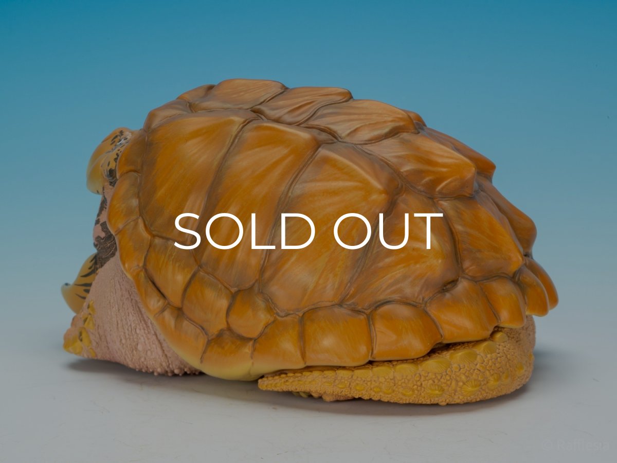 画像5: ワニガメ（PLUS版） (5)