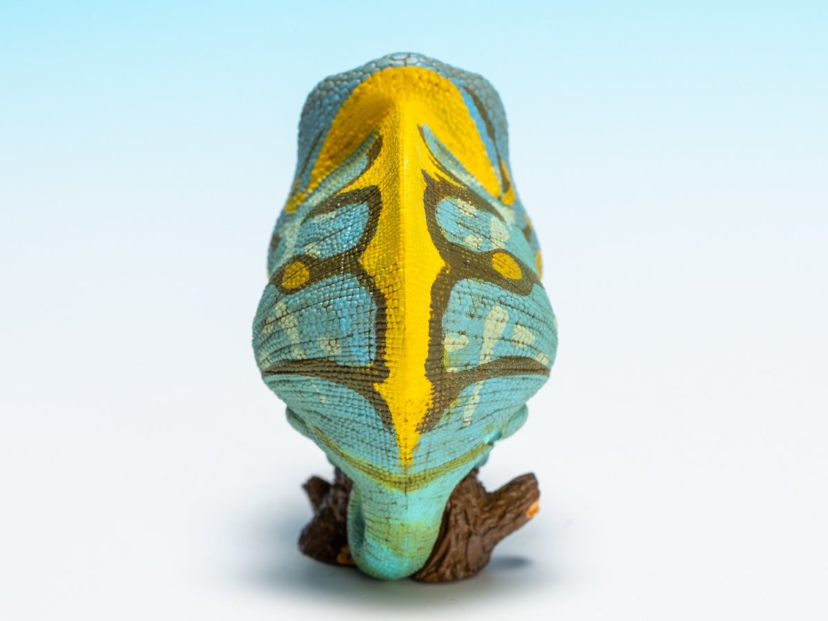 画像5: パーソンカメレオン (5)