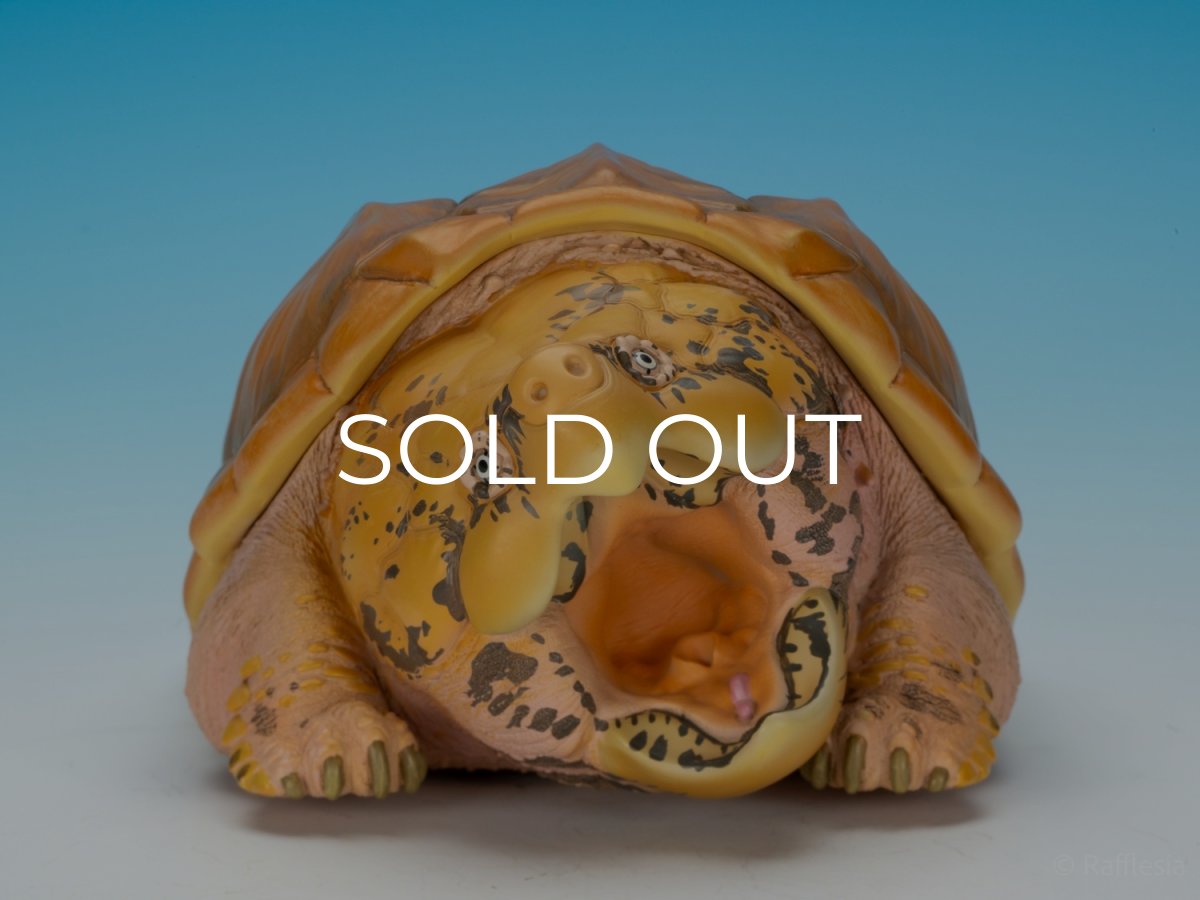 画像7: ワニガメ（PLUS版） (7)