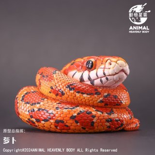 ヘビ - アジアアロワナ専門店ラフレシア
