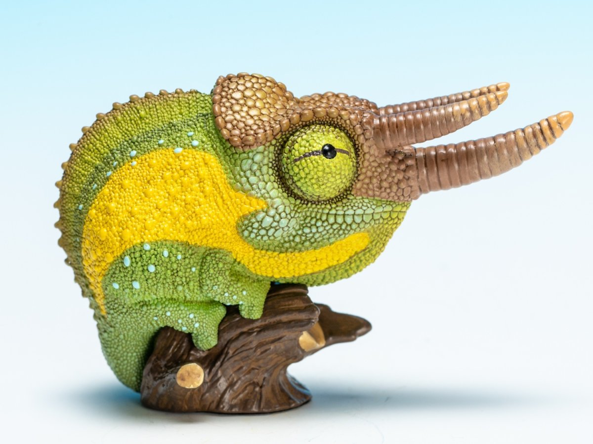 画像3: ジャクソンカメレオン (3)