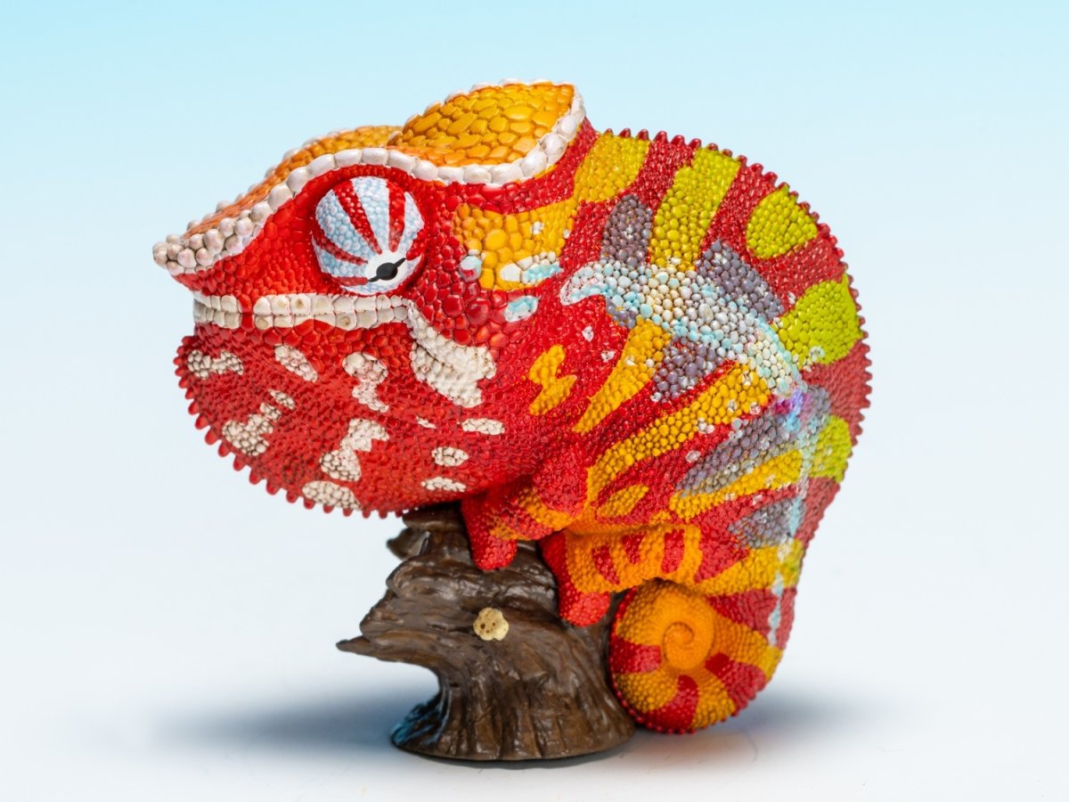 画像5: カメレオン（アンダパ） (5)