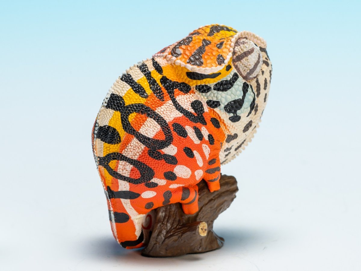 画像3: カーペットカメレオン (3)