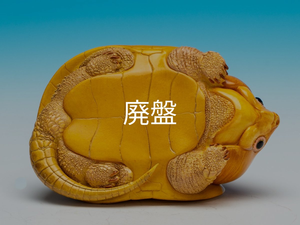 画像9: オオアタマガメ (9)