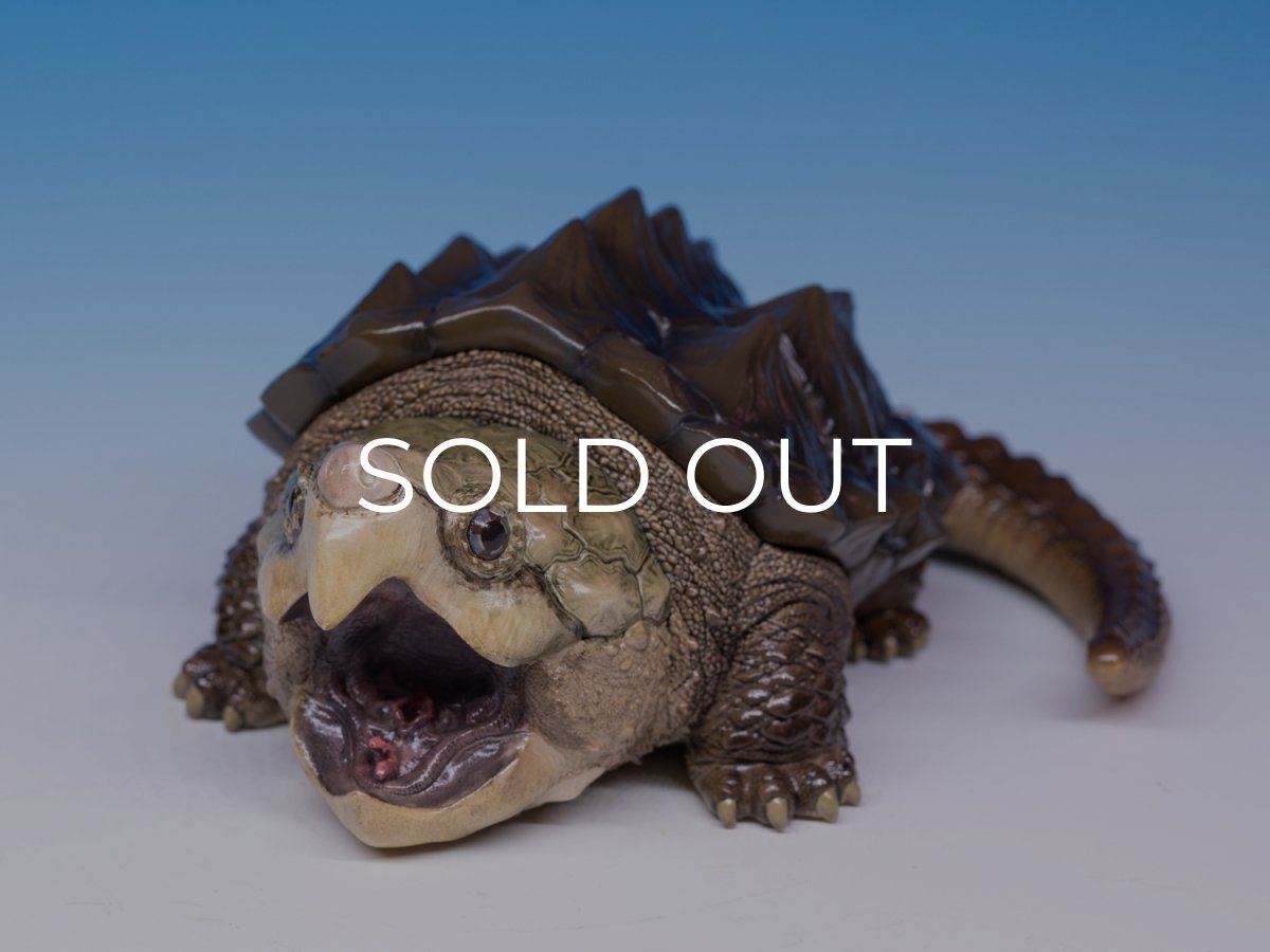 画像3: ワニガメ LET'S爬体！ (3)