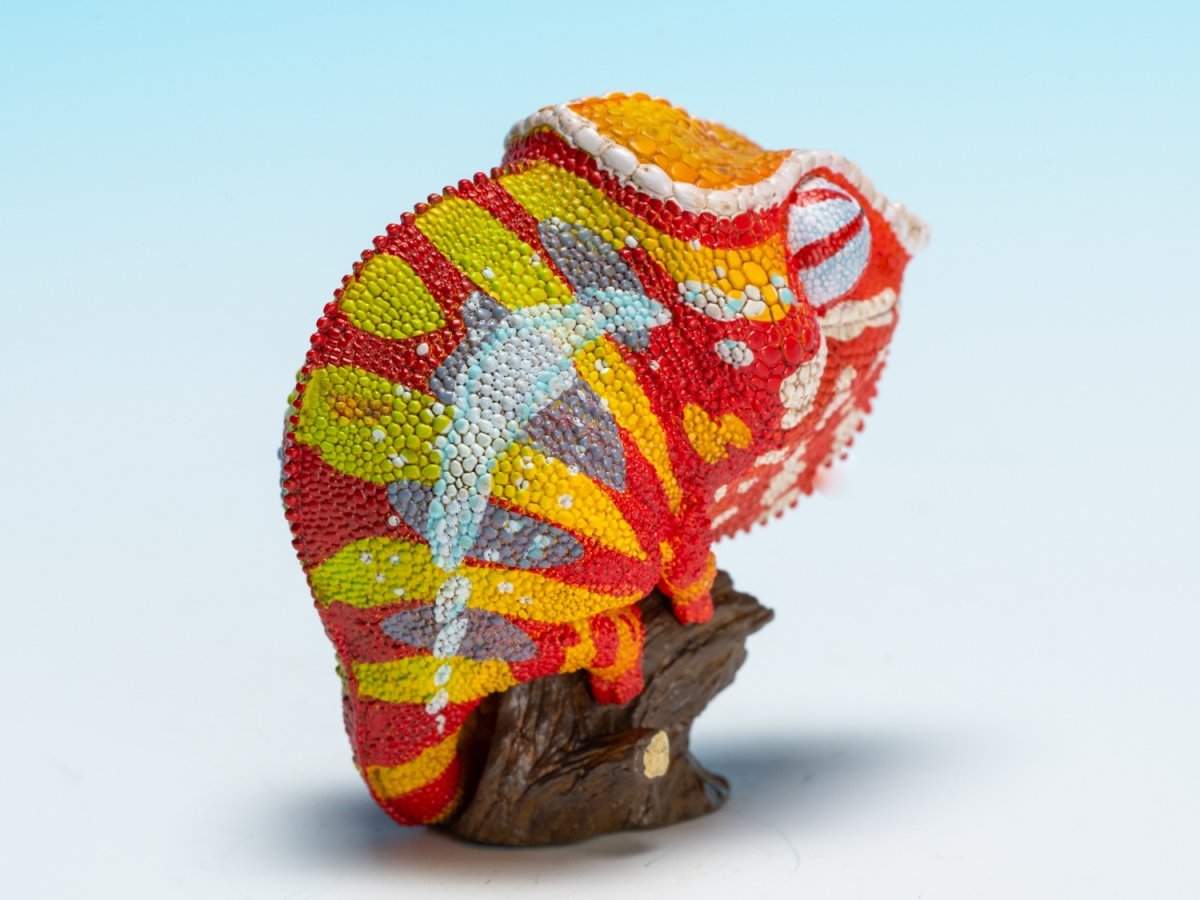 画像3: カメレオン（アンダパ） (3)