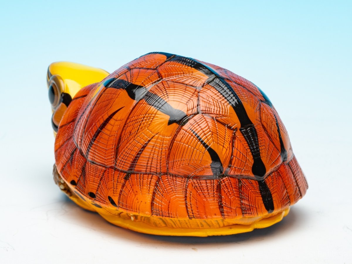 画像5: ミスジハコガメ (5)