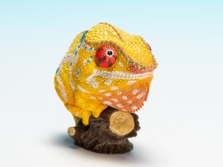動物の惑星（フィギュア） - アジアアロワナ専門店ラフレシア