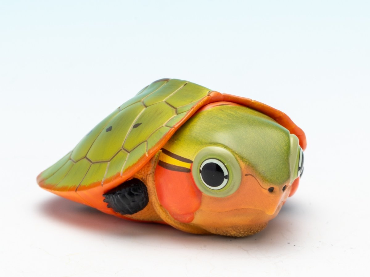 画像2: オオアタマガメ（五周年記念） (2)