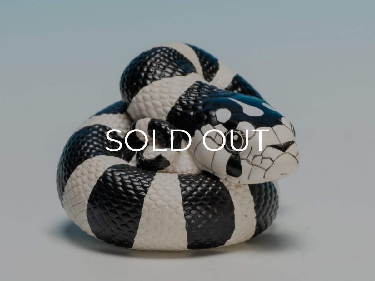 画像1: カリフォルニアキングヘビ（白黒） (1)