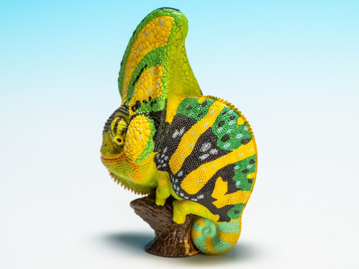 画像4: エボシカメレオン（グリーン）【動画あり】 (4)