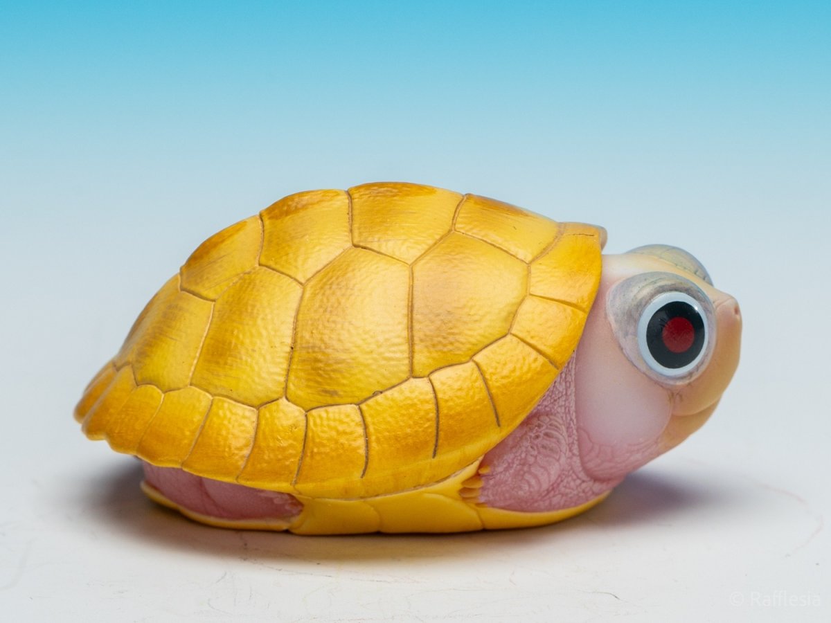 画像9:  キャラメルピンク（五周年記念） (9)