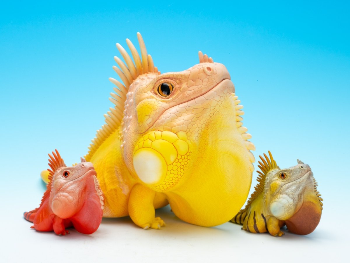 画像6: グリーンイグアナ（WF2024限定）PLUS版 (6)