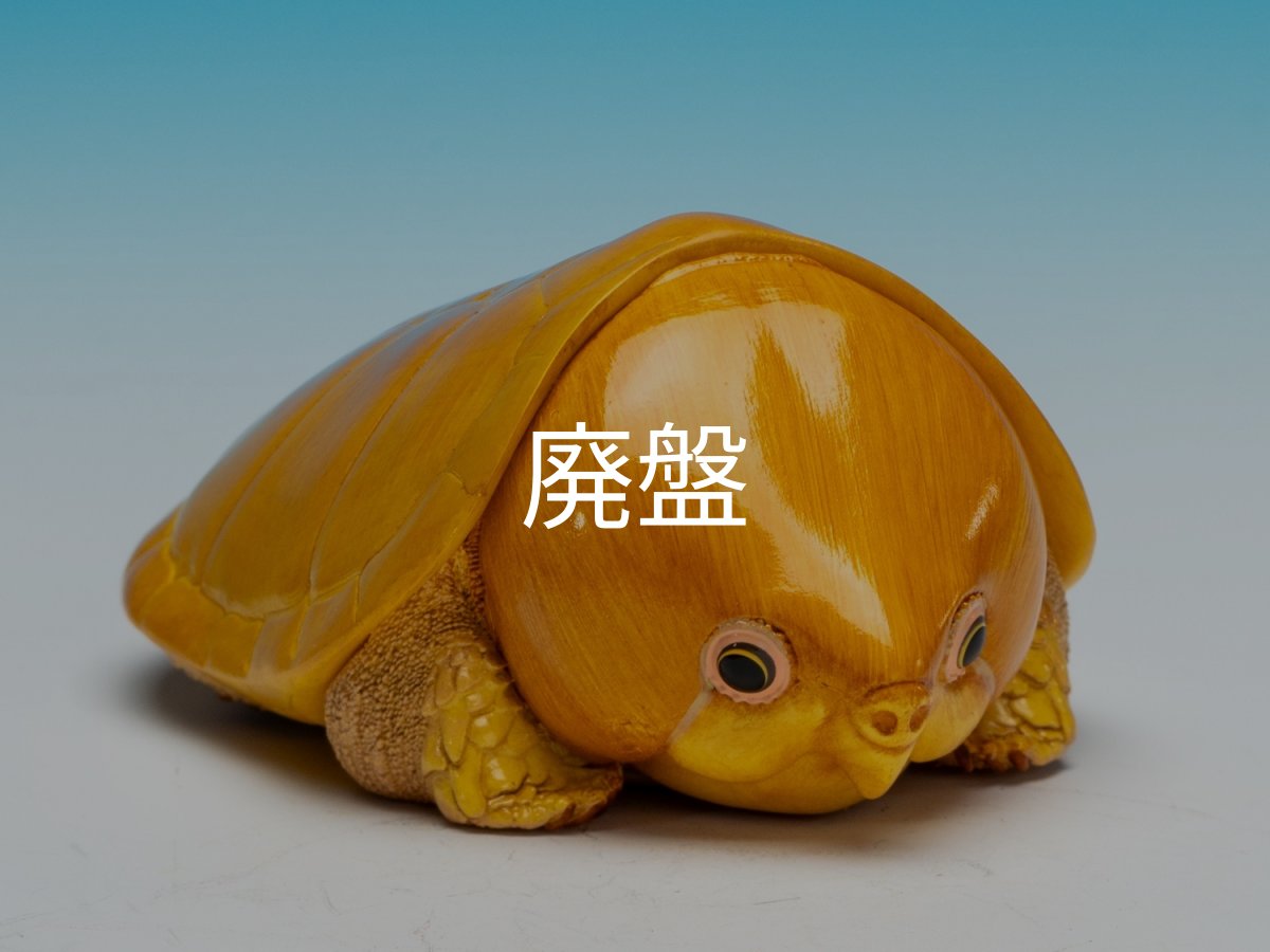 画像2: オオアタマガメ (2)