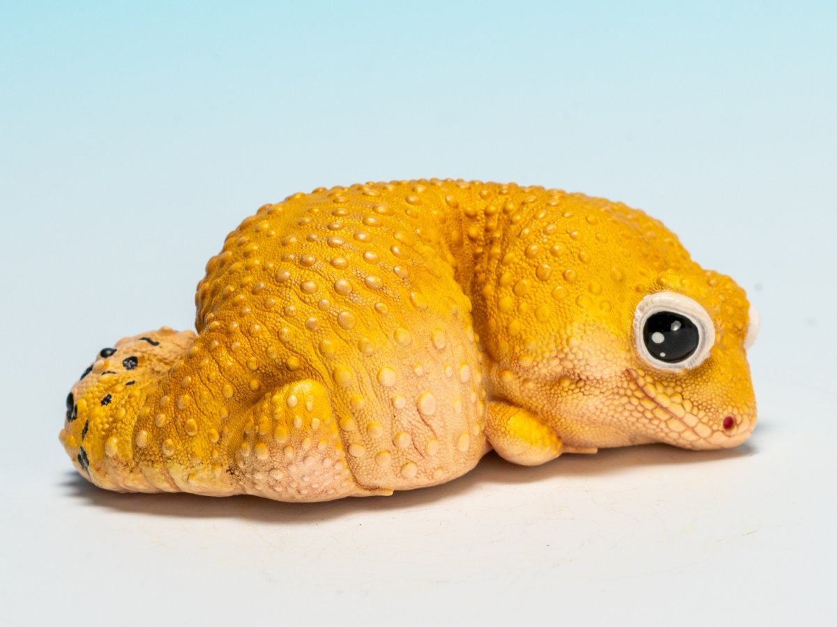 画像2: ヒョウモントカゲモドキ（蜜柑） (2)