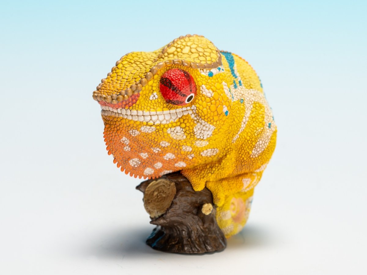 画像6: カメレオン（ミツィウ） (6)