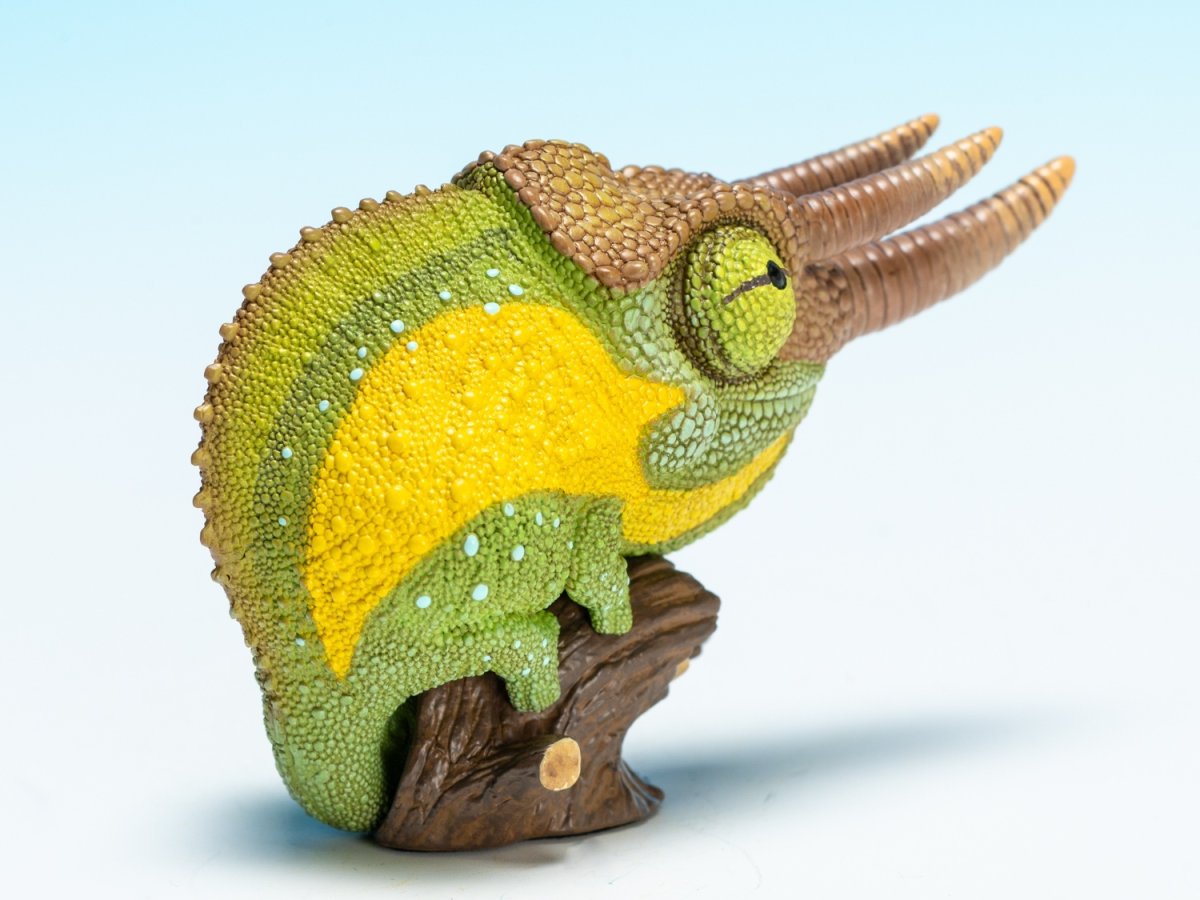画像4: ジャクソンカメレオン (4)