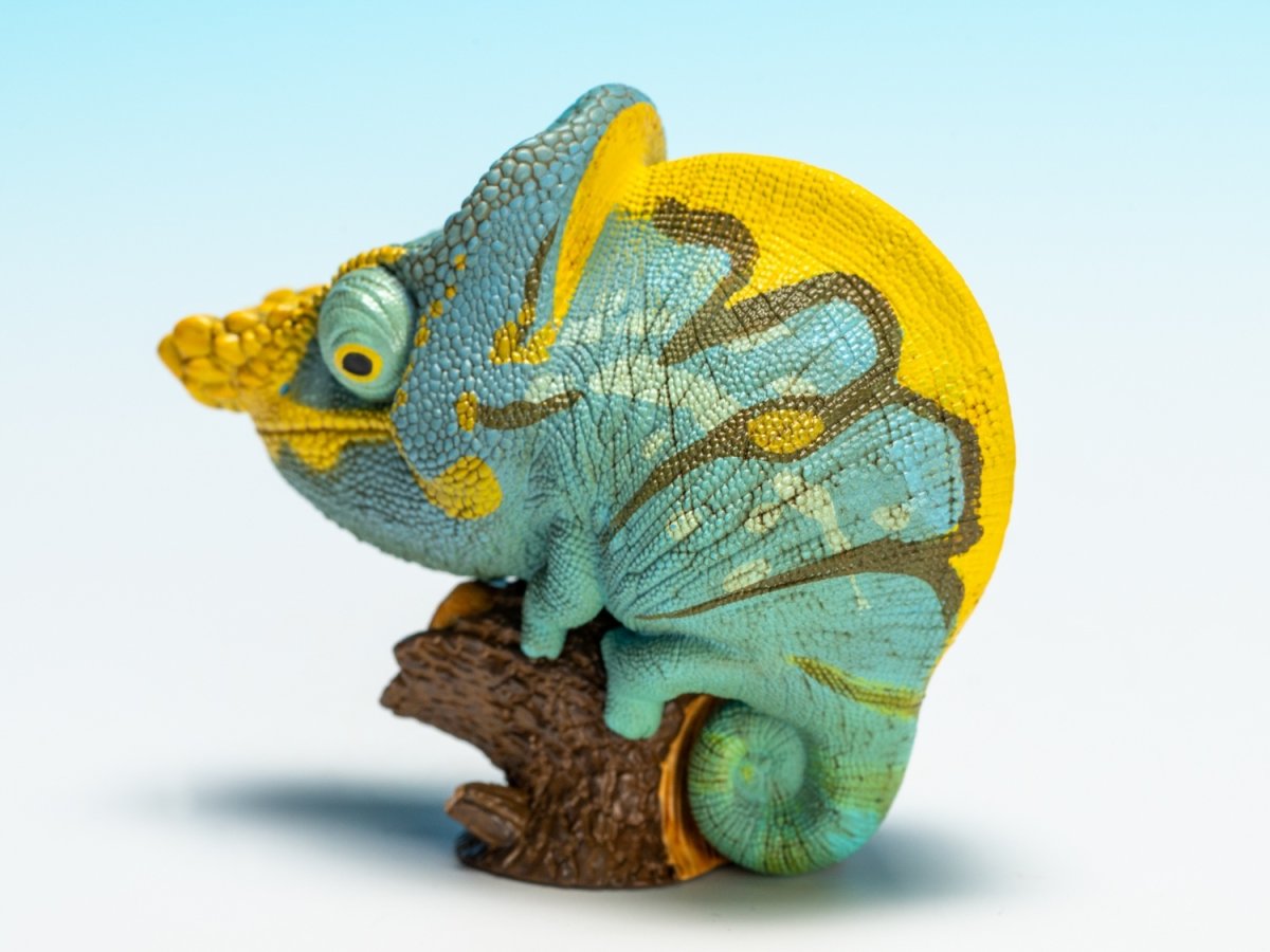 画像6: パーソンカメレオン (6)