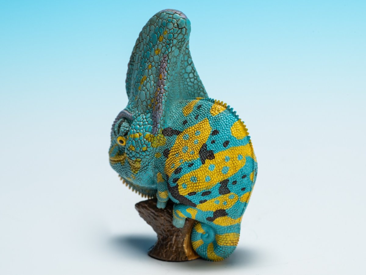 画像6: エボシカメレオン（ブルー）【動画あり】 (6)