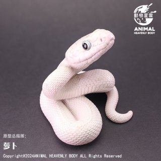 ヘビ - アジアアロワナ専門店ラフレシア